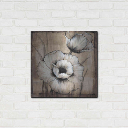 Luxe Metal Art 'Neutral Poppies I' by Tim O'Toole, Metal Wall Art,24x24