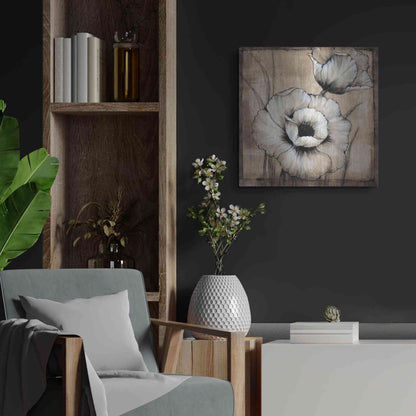 Luxe Metal Art 'Neutral Poppies I' by Tim O'Toole, Metal Wall Art,24x24