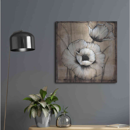 Luxe Metal Art 'Neutral Poppies I' by Tim O'Toole, Metal Wall Art,24x24