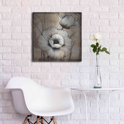 Luxe Metal Art 'Neutral Poppies I' by Tim O'Toole, Metal Wall Art,24x24