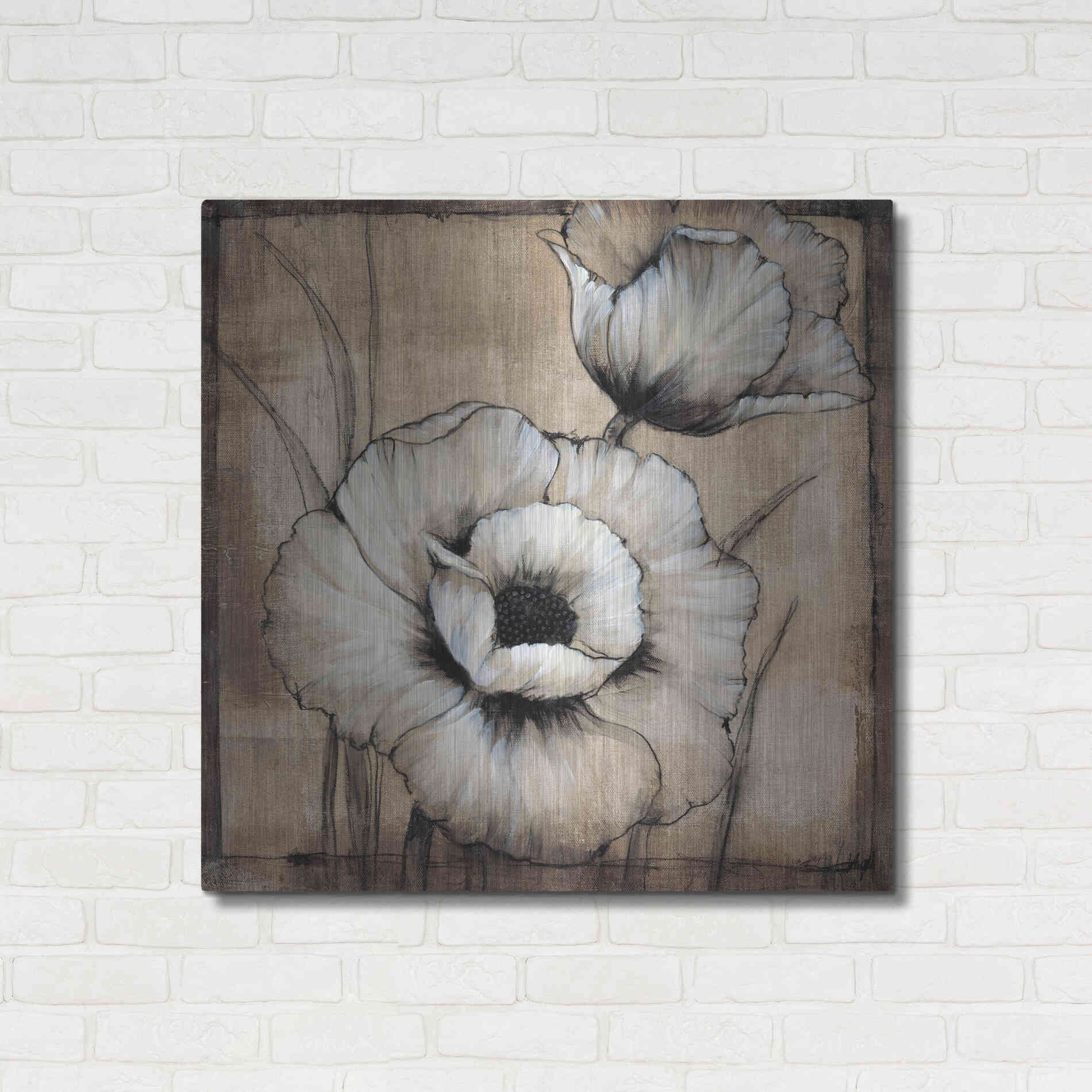 Luxe Metal Art 'Neutral Poppies I' by Tim O'Toole, Metal Wall Art,36x36