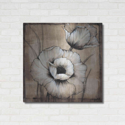 Luxe Metal Art 'Neutral Poppies I' by Tim O'Toole, Metal Wall Art,36x36
