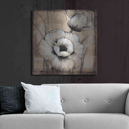 Luxe Metal Art 'Neutral Poppies I' by Tim O'Toole, Metal Wall Art,36x36