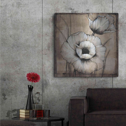 Luxe Metal Art 'Neutral Poppies I' by Tim O'Toole, Metal Wall Art,36x36
