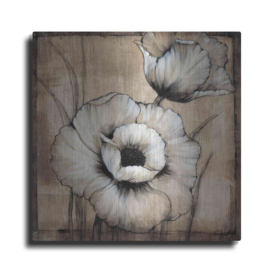Luxe Metal Art 'Neutral Poppies I' by Tim O'Toole, Metal Wall Art