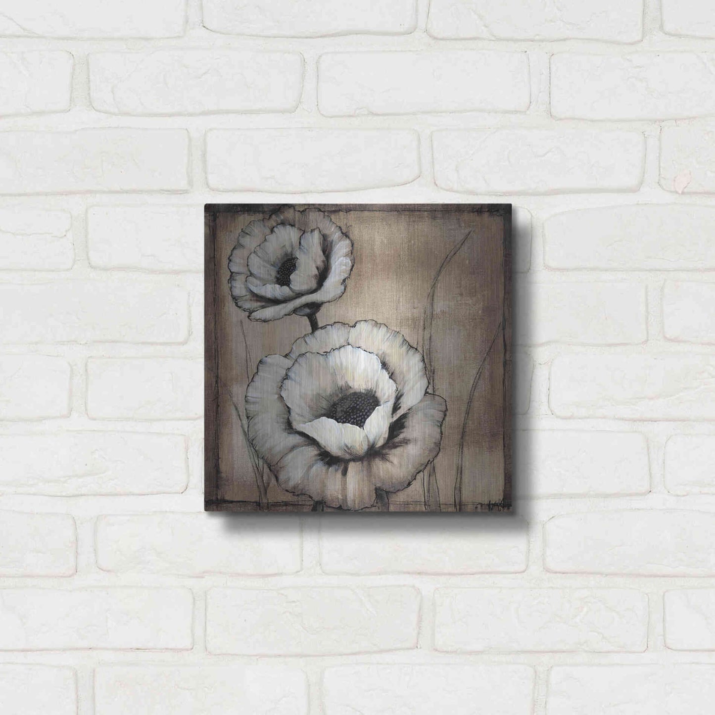Luxe Metal Art 'Neutral Poppies II' by Tim O'Toole, Metal Wall Art,12x12