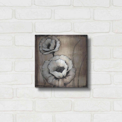 Luxe Metal Art 'Neutral Poppies II' by Tim O'Toole, Metal Wall Art,12x12
