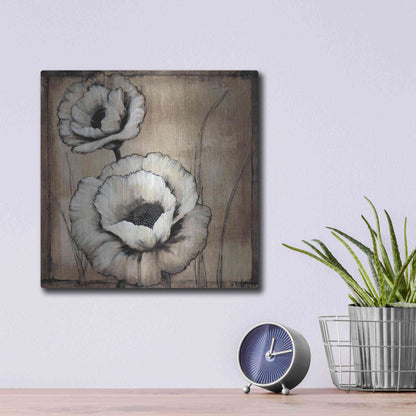 Luxe Metal Art 'Neutral Poppies II' by Tim O'Toole, Metal Wall Art,12x12