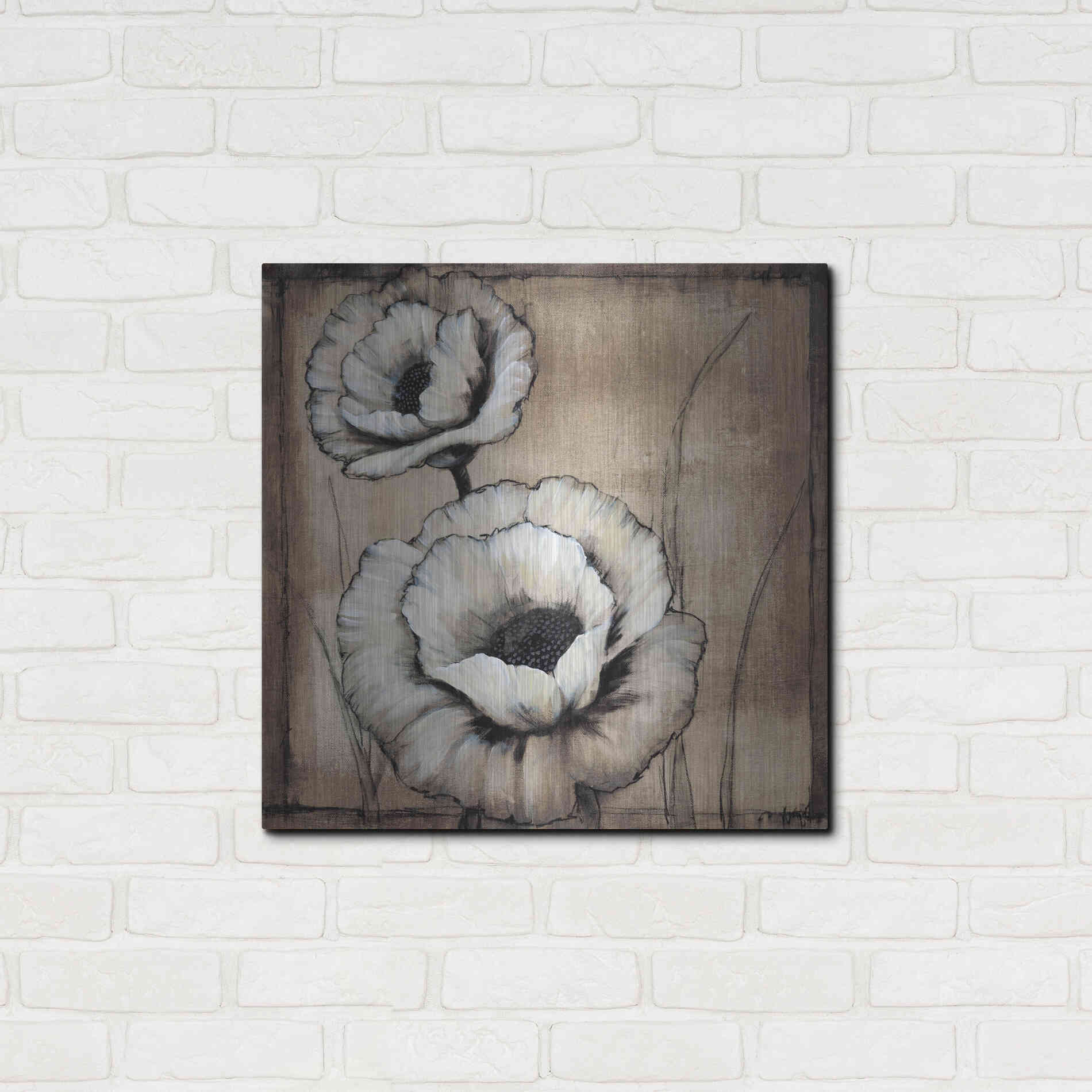 Luxe Metal Art 'Neutral Poppies II' by Tim O'Toole, Metal Wall Art,24x24