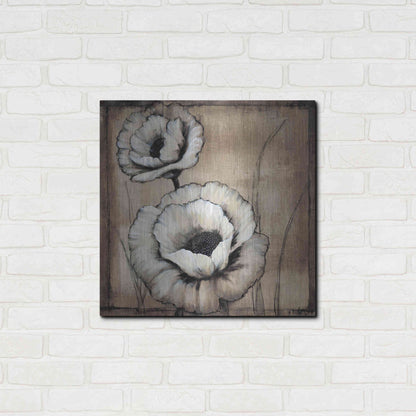 Luxe Metal Art 'Neutral Poppies II' by Tim O'Toole, Metal Wall Art,24x24