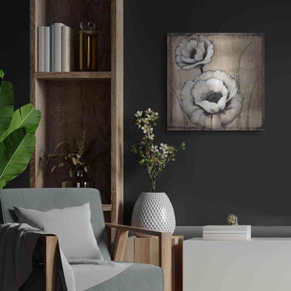 Luxe Metal Art 'Neutral Poppies II' by Tim O'Toole, Metal Wall Art,24x24