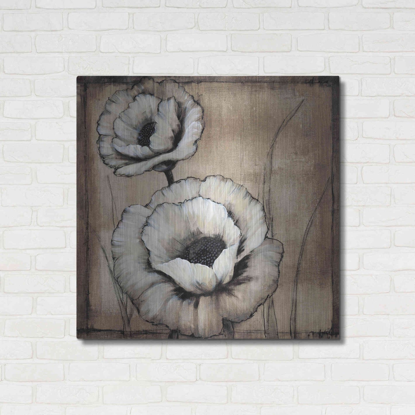 Luxe Metal Art 'Neutral Poppies II' by Tim O'Toole, Metal Wall Art,36x36