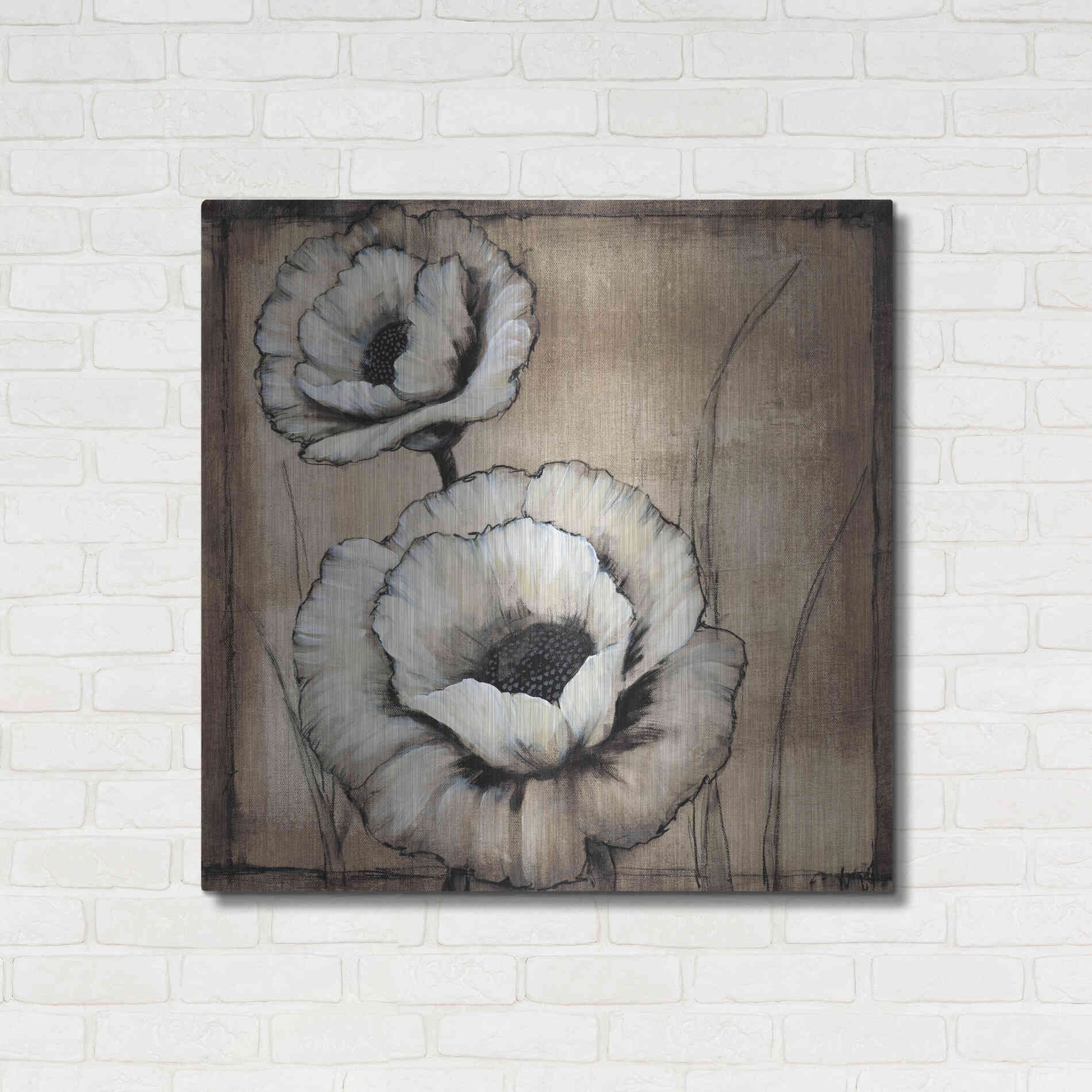 Luxe Metal Art 'Neutral Poppies II' by Tim O'Toole, Metal Wall Art,36x36