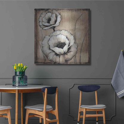 Luxe Metal Art 'Neutral Poppies II' by Tim O'Toole, Metal Wall Art,36x36