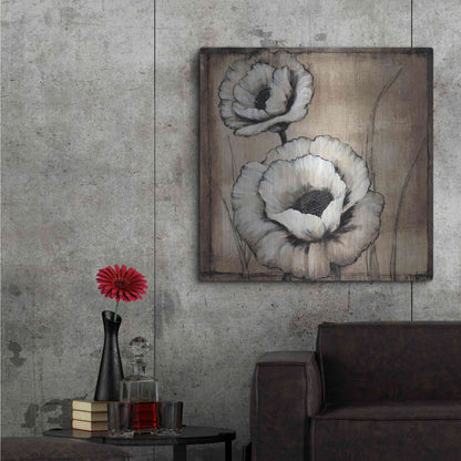 Luxe Metal Art 'Neutral Poppies II' by Tim O'Toole, Metal Wall Art,36x36