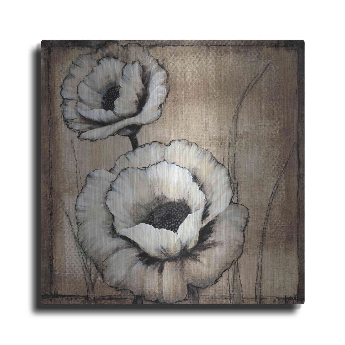 Luxe Metal Art 'Neutral Poppies II' by Tim O'Toole, Metal Wall Art