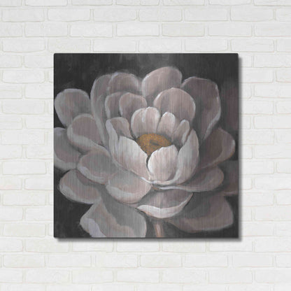 Luxe Metal Art 'Neutral Fleur I' by Tim O'Toole, Metal Wall Art,36x36