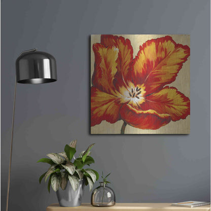 Luxe Metal Art 'Parrot Tulip I' by Tim O'Toole, Metal Wall Art,24x24