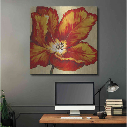 Luxe Metal Art 'Parrot Tulip I' by Tim O'Toole, Metal Wall Art,36x36