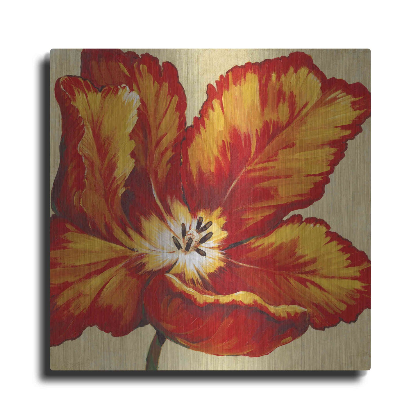 Luxe Metal Art 'Parrot Tulip I' by Tim O'Toole, Metal Wall Art