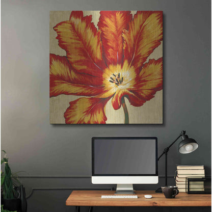 Luxe Metal Art 'Parrot Tulip II' by Tim O'Toole, Metal Wall Art,36x36