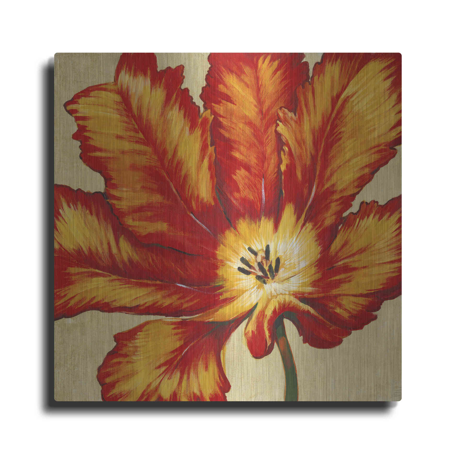 Luxe Metal Art 'Parrot Tulip II' by Tim O'Toole, Metal Wall Art