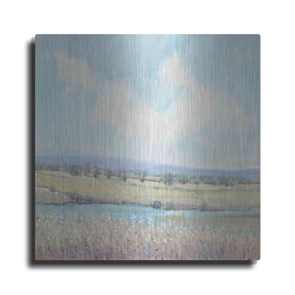 Luxe Metal Art 'Flowing Creek I' by Tim O'Toole, Metal Wall Art