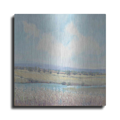 Luxe Metal Art 'Flowing Creek I' by Tim O'Toole, Metal Wall Art