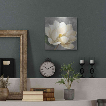 Luxe Metal Art 'Magnolia Blossom on Gray' by Albena Hristova, Metal Wall Art,12x12