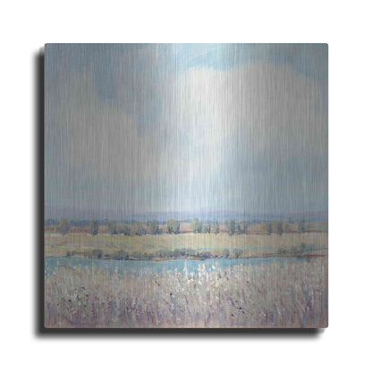 Luxe Metal Art 'Flowing Creek II' by Tim O'Toole, Metal Wall Art
