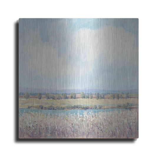 Luxe Metal Art 'Flowing Creek II' by Tim O'Toole, Metal Wall Art