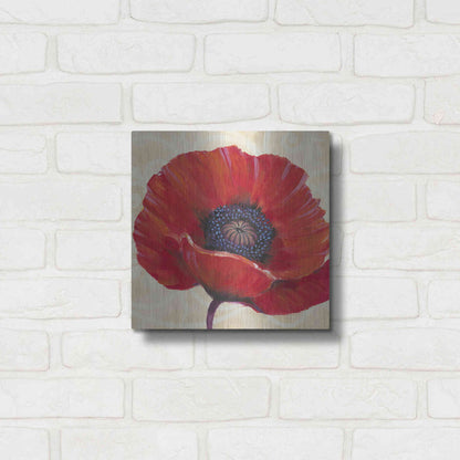 Luxe Metal Art 'Red Poppy I' by Tim O'Toole, Metal Wall Art,12x12