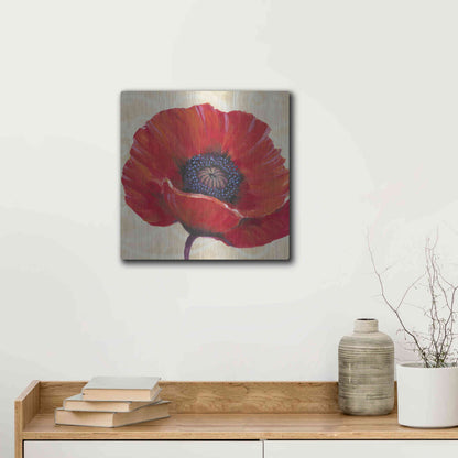 Luxe Metal Art 'Red Poppy I' by Tim O'Toole, Metal Wall Art,12x12