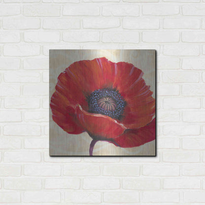 Luxe Metal Art 'Red Poppy I' by Tim O'Toole, Metal Wall Art,24x24