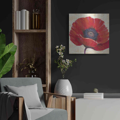 Luxe Metal Art 'Red Poppy I' by Tim O'Toole, Metal Wall Art,24x24