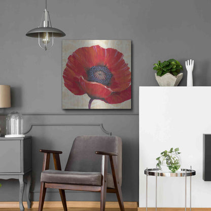 Luxe Metal Art 'Red Poppy I' by Tim O'Toole, Metal Wall Art,24x24