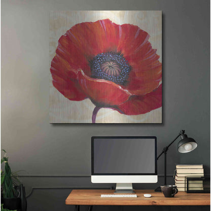 Luxe Metal Art 'Red Poppy I' by Tim O'Toole, Metal Wall Art,36x36