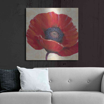 Luxe Metal Art 'Red Poppy I' by Tim O'Toole, Metal Wall Art,36x36