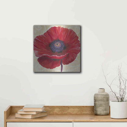 Luxe Metal Art 'Red Poppy II' by Tim O'Toole, Metal Wall Art,12x12