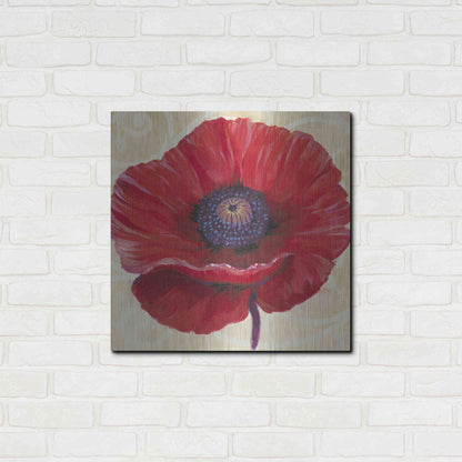 Luxe Metal Art 'Red Poppy II' by Tim O'Toole, Metal Wall Art,24x24