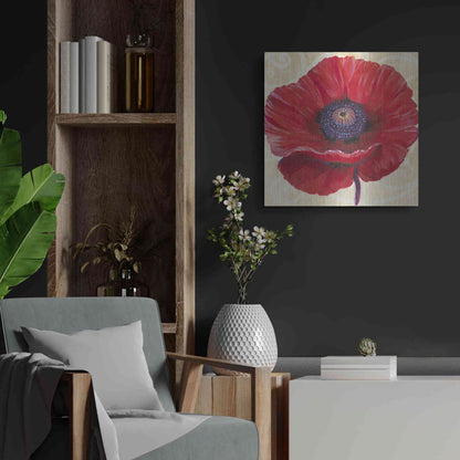 Luxe Metal Art 'Red Poppy II' by Tim O'Toole, Metal Wall Art,24x24