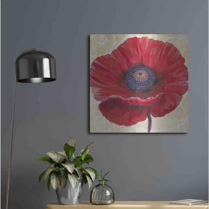 Luxe Metal Art 'Red Poppy II' by Tim O'Toole, Metal Wall Art,24x24