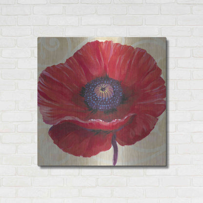 Luxe Metal Art 'Red Poppy II' by Tim O'Toole, Metal Wall Art,36x36