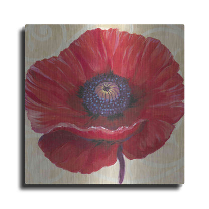 Luxe Metal Art 'Red Poppy II' by Tim O'Toole, Metal Wall Art