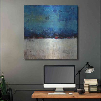 Luxe Metal Art 'A Touch of Red I' by Tim O'Toole, Metal Wall Art,36x36