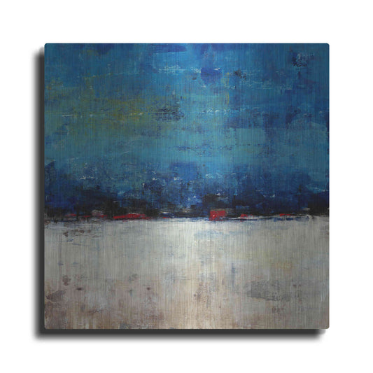 Luxe Metal Art 'A Touch of Red I' by Tim O'Toole, Metal Wall Art