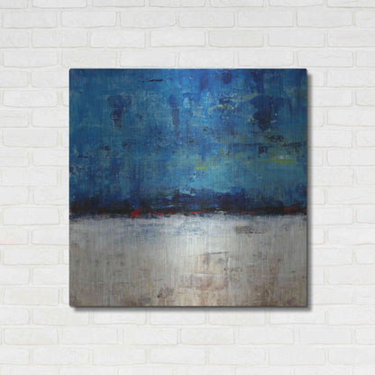 Luxe Metal Art 'A Touch of Red II' by Tim O'Toole, Metal Wall Art,36x36