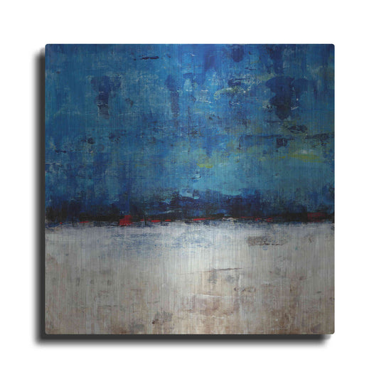 Luxe Metal Art 'A Touch of Red II' by Tim O'Toole, Metal Wall Art