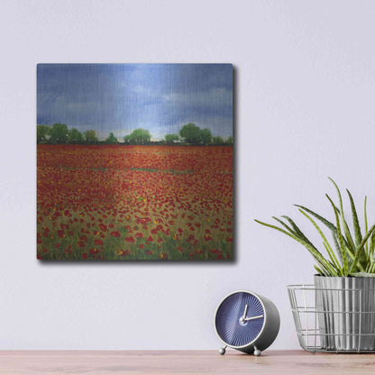 Luxe Metal Art 'Field of Poppies I' by Tim O'Toole, Metal Wall Art,12x12