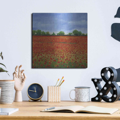 Luxe Metal Art 'Field of Poppies I' by Tim O'Toole, Metal Wall Art,12x12